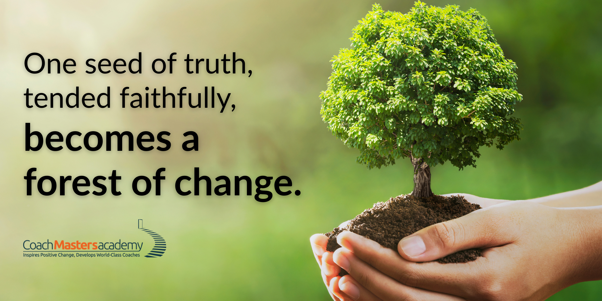 The 15-Year Forest: How Consistency Shapes Transformational Coaching Mastery